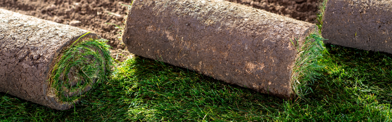 GRASZODEN BESTELLEN?