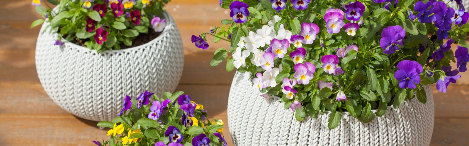 AFTELLEN TOT DE LENTE