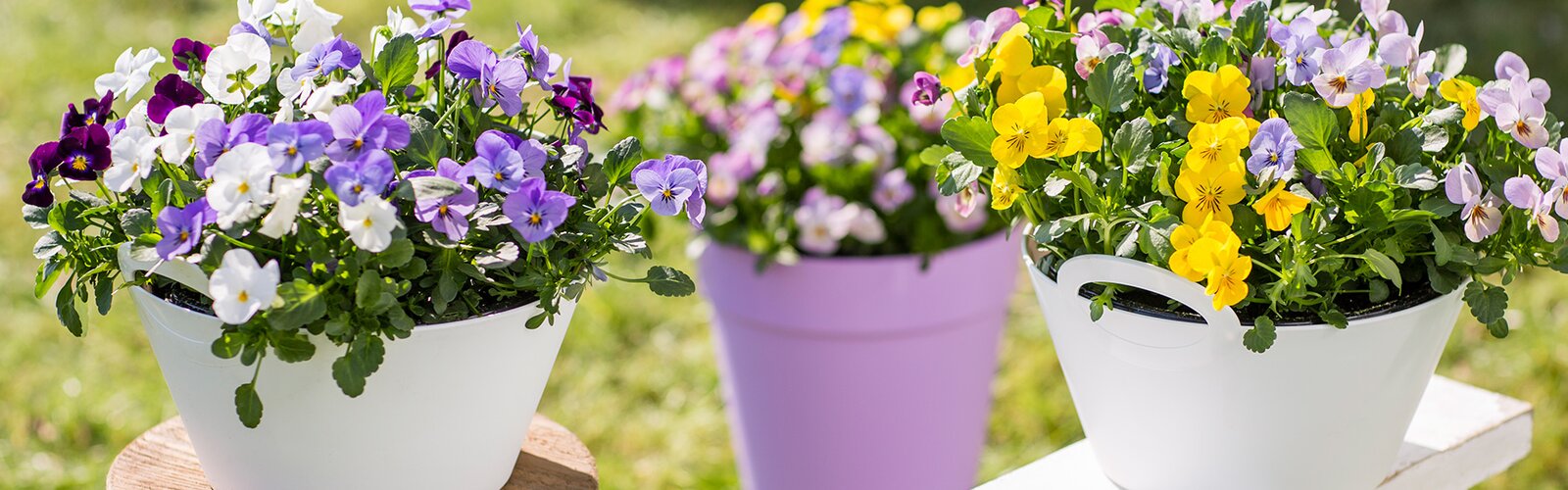 HOERA, HET IS LENTE!