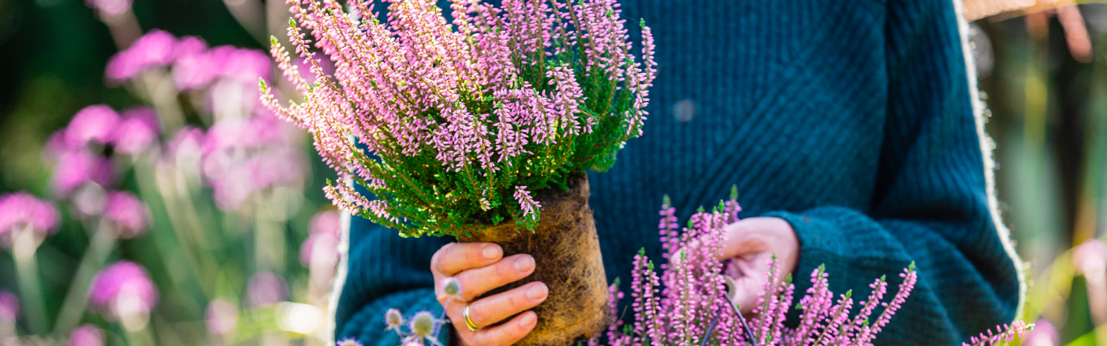 TUINPLANTEN