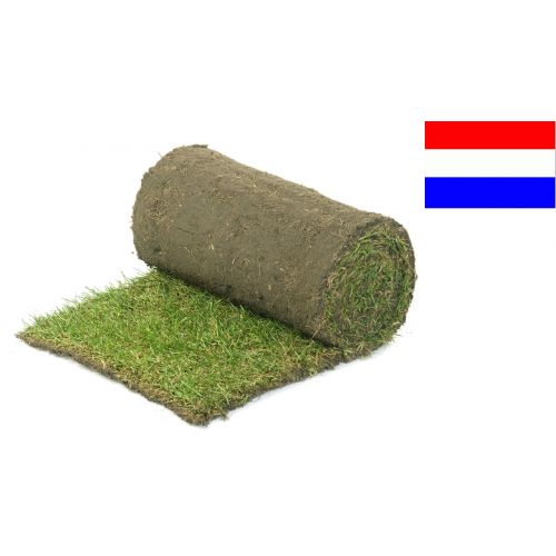 A1 Graszoden vanaf €3.15