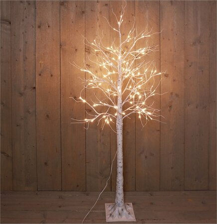 Anna's Collection berkenboom wit LED - h160cm