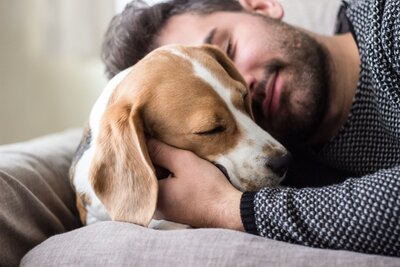 Dierenwinkel - Tierhandlung
