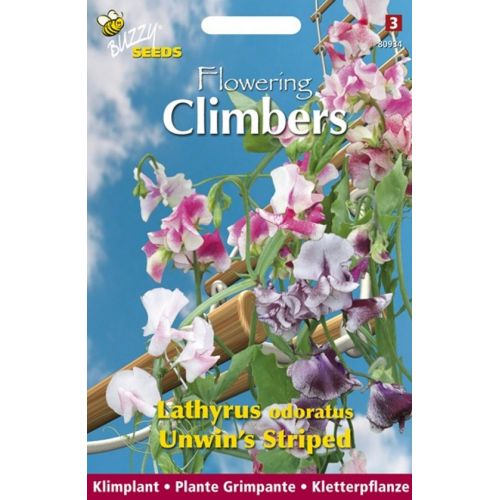 Flowering climbers lathyrus unwi 4g - afbeelding 1