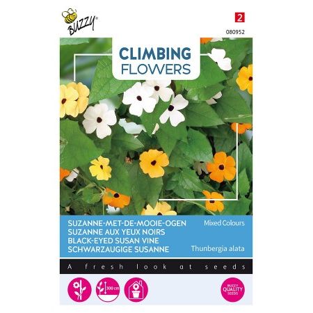 Flowering climbers thunbergia 0.5g - afbeelding 1
