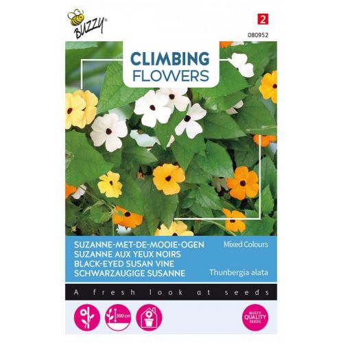 Flowering climbers thunbergia 0.5g - afbeelding 2