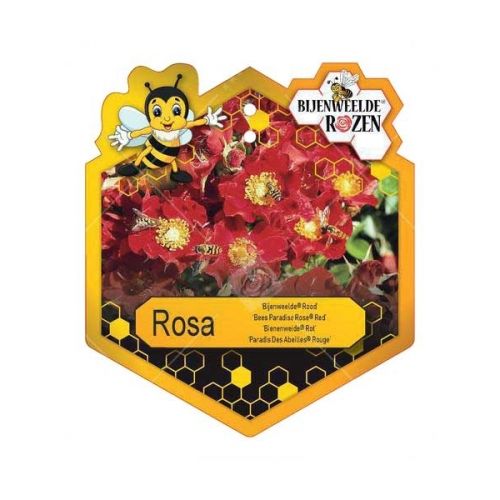 Rosa 'Bijenweelde'® Red