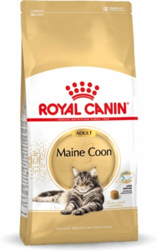 ROYAL CANIN Fbn maine coon 31 2kg