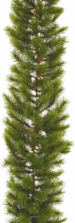 Triumph Tree singer Richmond groen - d30cm l270cm