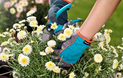 Tuingereedschap - Gartenwerkzeuge